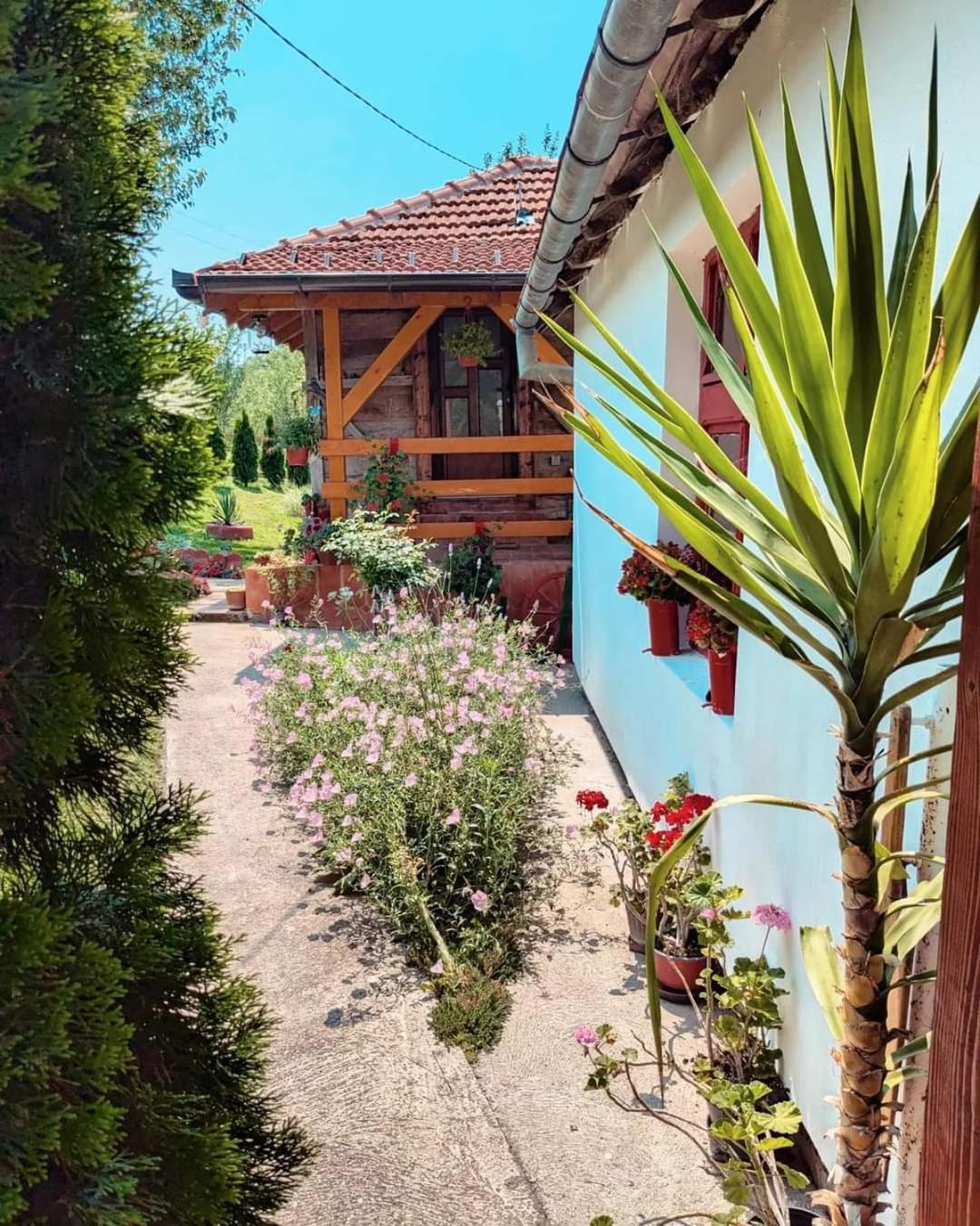 Prenociste Lelic Villa Valjevo Eksteriør billede